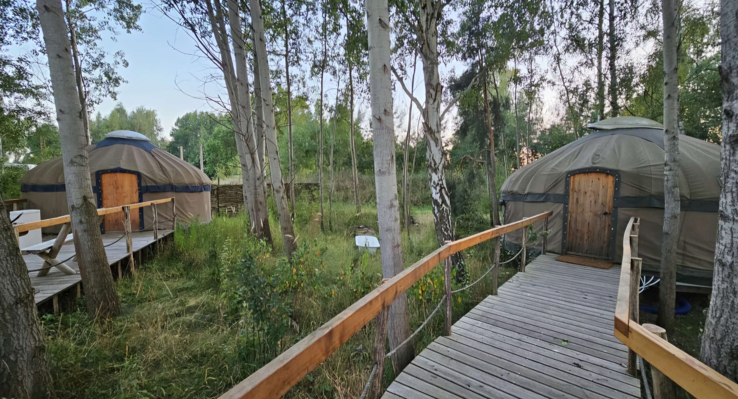 Screenshot_20240825_105523_WhatsApp